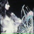 BONES