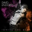 David Lindgren