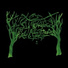 Six Organs of Admittance