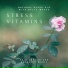 Asian Meditation Music Collective