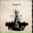 Swale