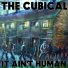 The Cubical