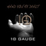 10 Gauge