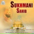 Bhai Rajinder Pal Singh Ji Khalsa Raju Veer Ji
