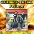 Los Felinos