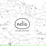 Nélio