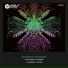 Level Groove