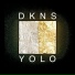 DKNS