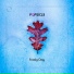 Popsicl3