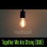 HydrusX