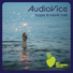 AudioVice