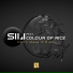 SiLi feat. Colour of Rice