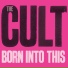 The Cult-2007 - Born into This