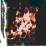 DEADHEAT, KOYA