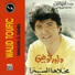Walid Toufic