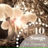 Serenity Spa Ensemble