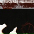 Einsturzende Neubauten