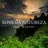 Meditação Música Ambiente