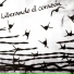 Liberando El Corazón