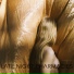 Locult feat. Karoline Skeide Pettersen