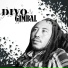 Divo Gimbal
