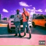 TroyBoi, Healthy Chill