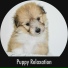 Calming Puppy Relaxation
