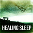 Healing Music Empire