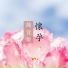 孕婦音樂盒