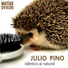 Matias Oviedo, Julio Pino