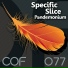 Specific Slice