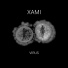 XAMI