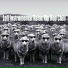 Beats 7, ChillHop Beats, Beats De Rap