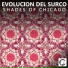Shades Of Chicago