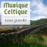 Musique Celtique Ensemble