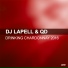 DJ Lapell feat. QD