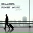 Music for Airports Specialists