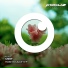 Cnof