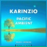 Karinzio
