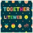 Liteweb