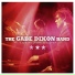 The Gabe Dixon Band