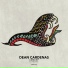 Dean Cardenas