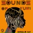 Dream Jay feat. Epixode, Article Wan