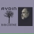 Aydin