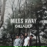 Callalily
