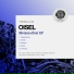 Oisel