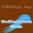 Obsidian Project