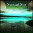Spa Chillout Music Collection