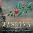 Klapa Maslina