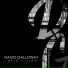 David Galloway